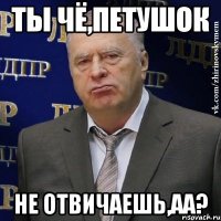 ты чё,петушок не отвичаешь,аа?