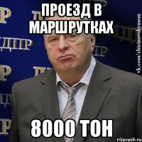 проезд в маршрутках 8000 тон