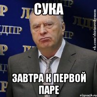 сука завтра к первой паре