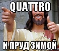 quattro и пруд зимой