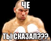 че ты сказал???