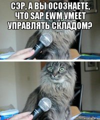 сэр, а вы осознаете, что sap ewm умеет управлять складом? 