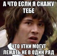 а что если я скажу тебе что утки могут лежать не в один ряд