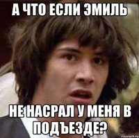 а что если эмиль не насрал у меня в подъезде?