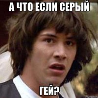 а что если серый гей?