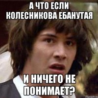 а что если колесникова ебанутая и ничего не понимает?