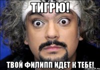 тигрю! твой филипп идет к тебе!