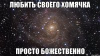 любить своего хомячка просто божественно