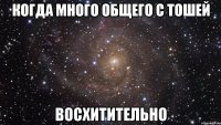 когда много общего с тошей восхитительно