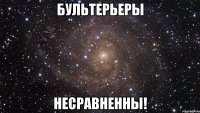 бультерьеры несравненны!