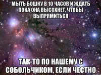 мыть бошку в 10 часов и ждать пока она высохнет, чтобы выпрямиться так-то по нашему с собольчиком, если честно