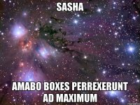 sasha amabo boxes perrexerunt ad maximum