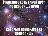 у каждого есть такой друг по прозвищу дрон который понюхает,где попросишь