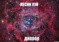 ЛЕСИК ХУЙ ДНОООО