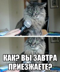  как? вы завтра приезжаете?