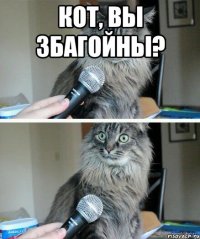 кот, вы збагойны? 