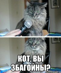  кот, вы збагойны?