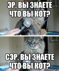 эр, вы знаете что вы кот? сэр, вы знаете что вы кот?