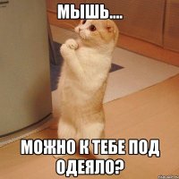 мышь.... можно к тебе под одеяло?