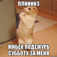 плииииз жибек подежурь субботу за меня