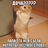 доча??? папа это не я съела котлеты, честное слово)