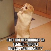  этот кот переживает за тебя))):*:*скорее выздоравливай:):*:*:*