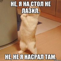 не, я на стол не лазил, не, не я насрал там.