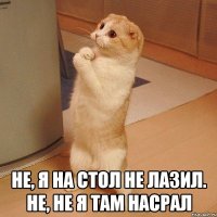  не, я на стол не лазил. не, не я там насрал