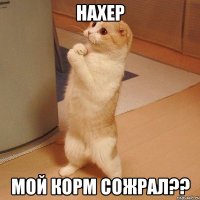 нахер мой корм сожрал??