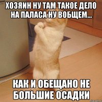 хозяин ну там такое дело на паласа ну вобщем... как и обещано не большие осадки