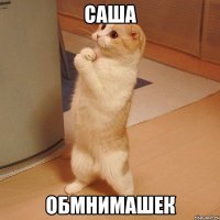 саша обмнимашек