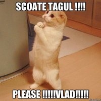 scoate tagul !!! please !!!vlad!!!