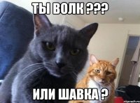 ты волк ??? или шавка ?