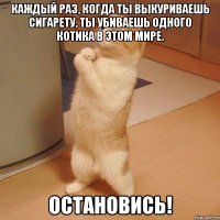 каждый раз, когда ты выкуриваешь сигарету, ты убиваешь одного котика в этом мире. остановись!