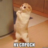  ну спроси