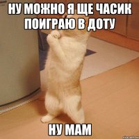 ну можно я ще часик поиграю в доту ну мам