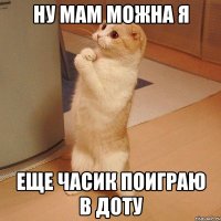 ну мам можна я еще часик поиграю в доту