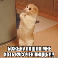  боже,ну пошли мне хоть кусочек пиццы!!!