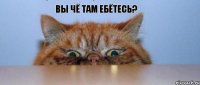 Вы чё там ебётесь?