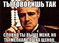 ты говоришь так словно ты выше меня, но ты мелкая сошка щенок.