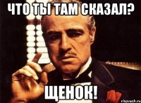 что ты там сказал? щенок!