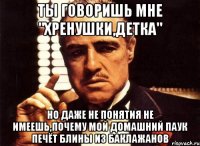 ты говоришь мне "хренушки,детка" но даже не понятия не имеешь,почему мой домашний паук печёт блины из баклажанов