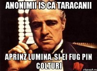 anonimii is ca taracanii aprinz lumina, si ei fug pin colturi