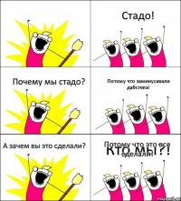 Кто мы?! Стадо! Почему мы стадо? Потому что заминусавали дабстепа! А зачем вы это сделали? Потому что это все сделали!