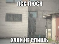 псс люся хули не спишь