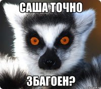 саша точно збагоен?