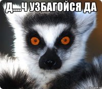 д....ч узбагойся да 