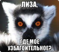 лиза, где мое узбагоительное?