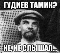 гудиев тамик? не, не слышал...