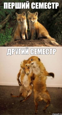 Перший семестр Другий семестр